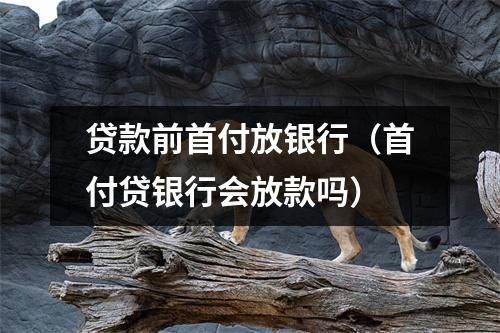 贷款前首付放银行(首付贷银行会放款吗)