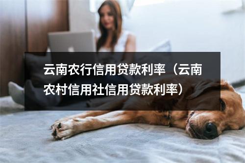 云南农行信用贷款利率（云南农村信用社信用贷款利率）