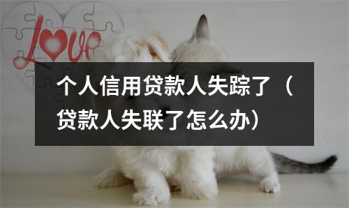个人信用贷款人失踪了(贷款人失联了怎么办)