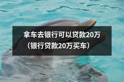 拿车去银行可以贷款20万（银行贷款20万买车）