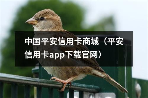 中国平安信用卡商城(平安信用卡app下载官网)