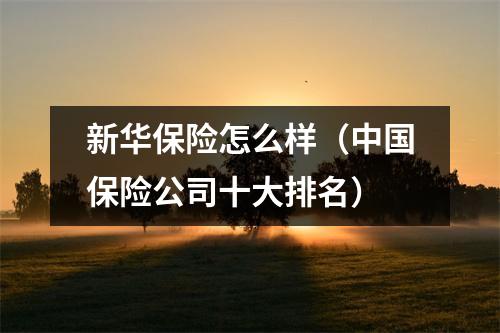 新华保险怎么样(中国保险公司十大排名)