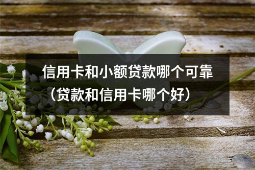 信用卡和小额贷款哪个可靠（贷款和信用卡哪个好）