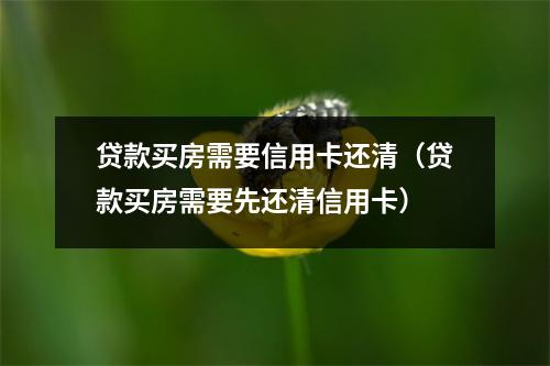 贷款买房需要信用卡还清(贷款买房需要先还清信用卡)
