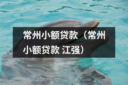 常州小额贷款（常州小额贷款 江强）