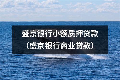 盛京银行小额质押贷款（盛京银行商业贷款）