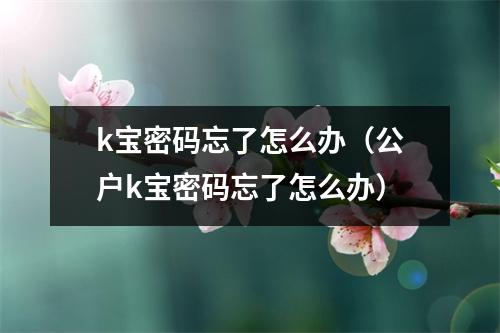 k宝密码忘了怎么办（公户k宝密码忘了怎么办）