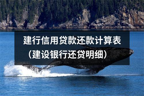建行信用贷款还款计算表（建设银行还贷明细）