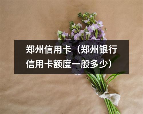 郑州信用卡（郑州银行信用卡额度一般多少）