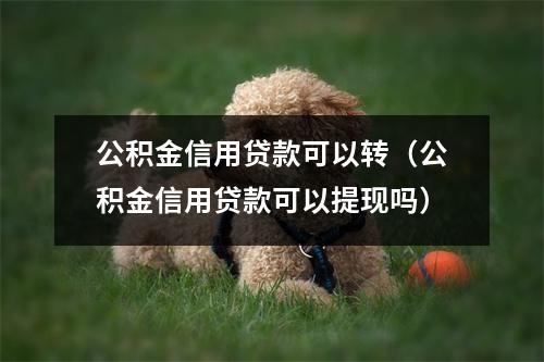 公积金信用贷款可以转（公积金信用贷款可以提现吗）