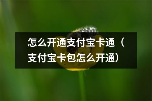 怎么开通支付宝卡通(支付宝卡包怎么开通)