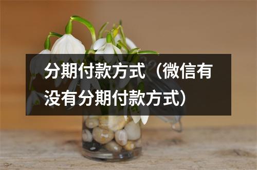 分期付款方式（微信有没有分期付款方式）