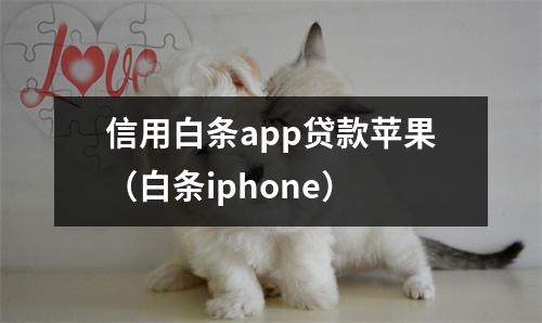 信用白条app贷款苹果（白条iphone）