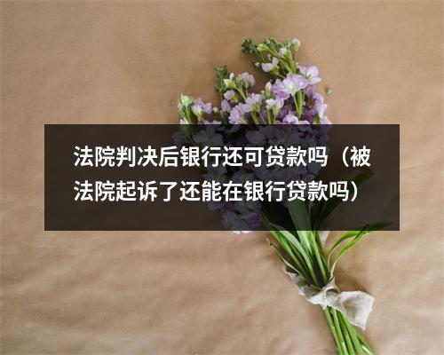 法院判决后银行还可贷款吗（被法院起诉了还能在银行贷款吗）