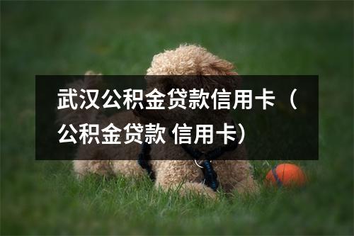 武汉公积金贷款信用卡（公积金贷款 信用卡）