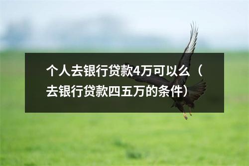 个人去银行贷款4万可以么（去银行贷款四五万的条件）