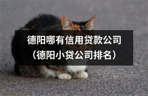 德阳哪有信用贷款公司（德阳小贷公司排名）