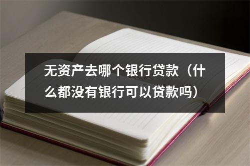 无资产去哪个银行贷款(什么都没有银行可以贷款吗)
