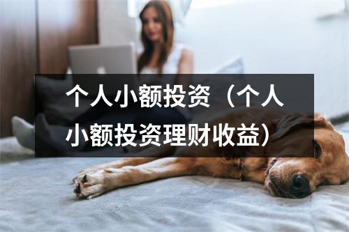 个人小额投资(个人小额投资理财收益)
