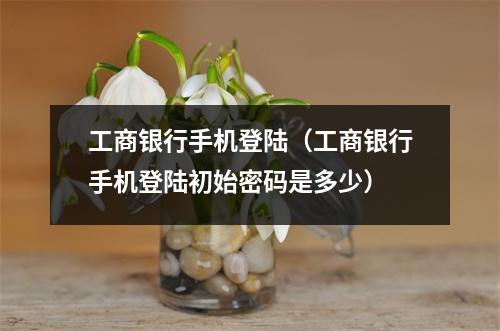 工商银行手机登陆（工商银行手机登陆初始密码是多少）