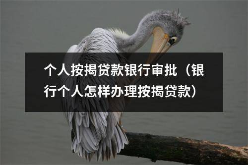个人按揭贷款银行审批（银行个人怎样办理按揭贷款）