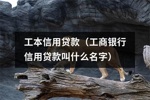 工本信用贷款（工商银行信用贷款叫什么名字）