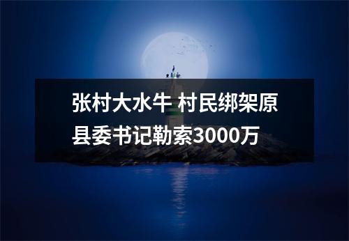 张村大水牛 村民绑架原县委书记勒索3000万