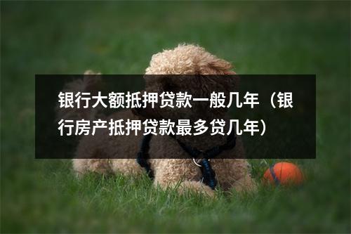 银行大额抵押贷款一般几年（银行房产抵押贷款最多贷几年）