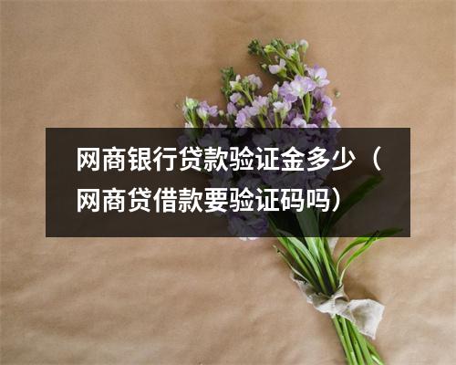 网商银行贷款验证金多少（网商贷借款要验证码吗）