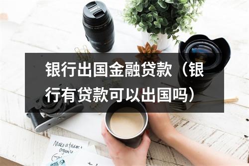 银行出国金融贷款（银行有贷款可以出国吗）