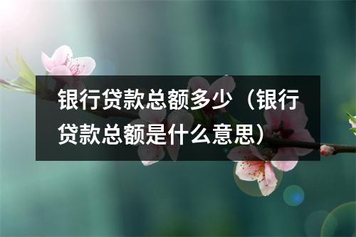 银行贷款总额多少（银行贷款总额是什么意思）