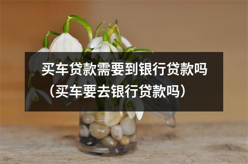 买车贷款需要到银行贷款吗（买车要去银行贷款吗）
