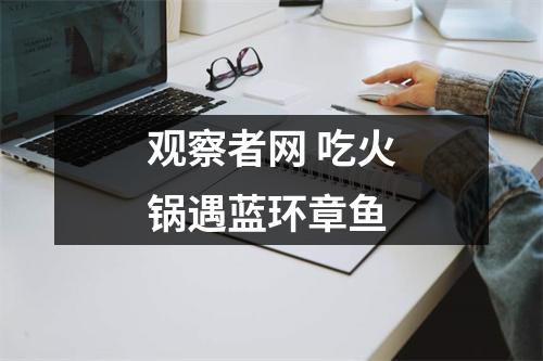 观察者网 吃火锅遇蓝环章鱼