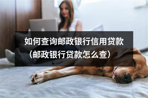 如何查询邮政银行信用贷款（邮政银行贷款怎么查）