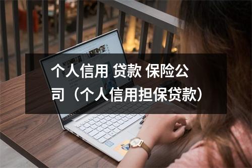 个人信用 贷款 保险公司（个人信用担保贷款）