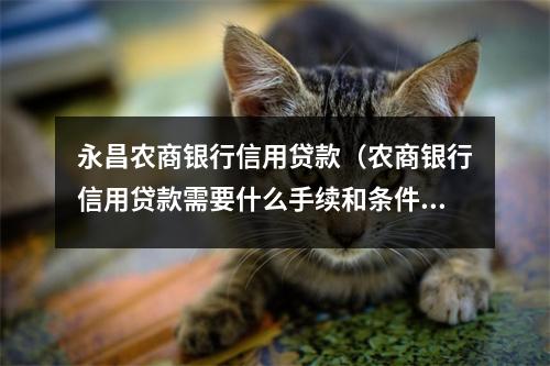 永昌农商银行信用贷款（农商银行信用贷款需要什么手续和条件）