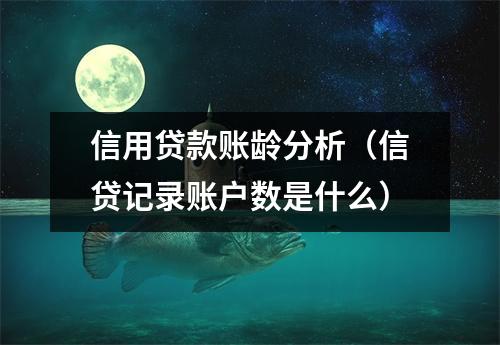信用贷款账龄分析（信贷记录账户数是什么）