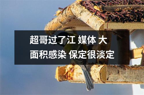 超哥过了江 媒体 大面积感染 保定很淡定