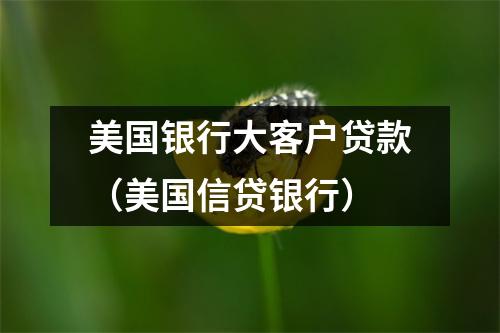 美国银行大客户贷款（美国信贷银行）