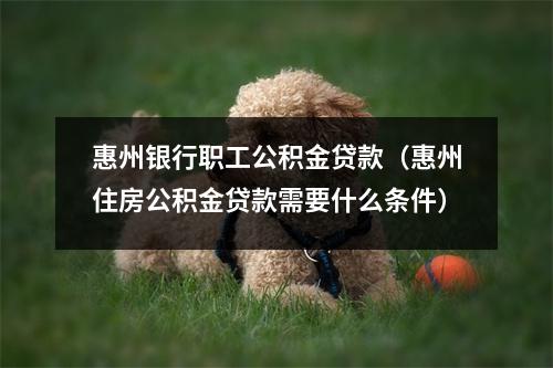 惠州银行职工公积金贷款(惠州住房公积金贷款需要什么条件)