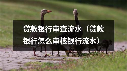 贷款银行审查流水（贷款银行怎么审核银行流水）