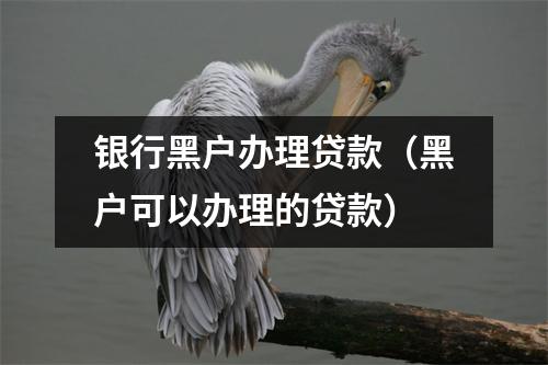 银行黑户办理贷款(黑户可以办理的贷款)