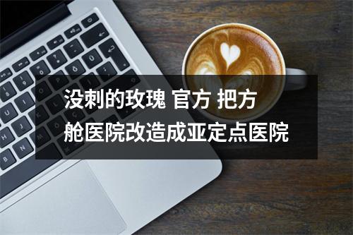 没刺的玫瑰 官方 把方舱医院改造成亚定点医院