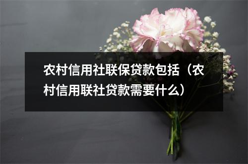 农村信用社联保贷款包括（农村信用联社贷款需要什么）