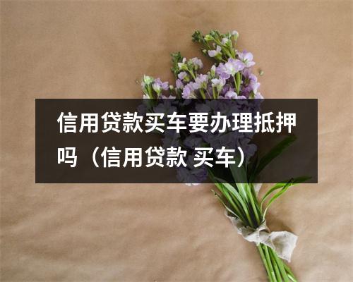 信用贷款买车要办理抵押吗（信用贷款 买车）