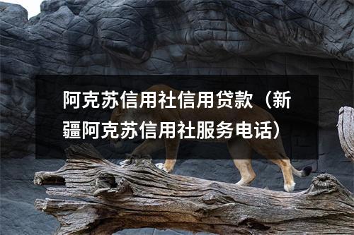 阿克苏信用社信用贷款（新疆阿克苏信用社服务电话）