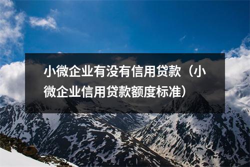 小微企业有没有信用贷款（小微企业信用贷款额度标准）