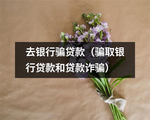 去银行骗贷款（骗取银行贷款和贷款诈骗）