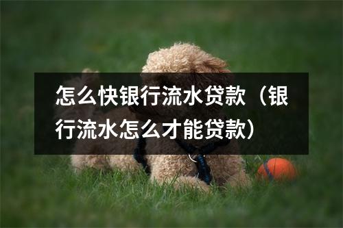 怎么快银行流水贷款（银行流水怎么才能贷款）