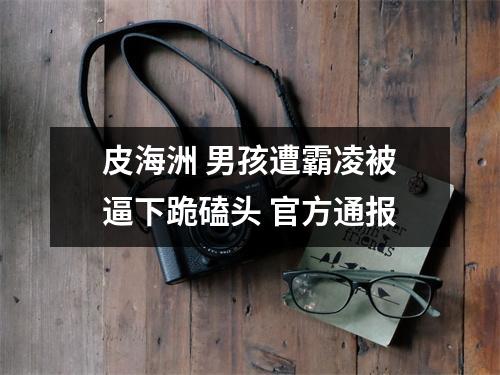 皮海洲 男孩遭霸凌被逼下跪磕头 官方通报